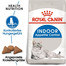 ROYAL CANIN INDOOR Appetite Control Trockenfutter für übergewichtige Wohnungskatzen 4 kg