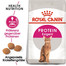 ROYAL CANIN PROTEIN EXIGENT Trockenfutter für wählerische Katzen 10 kg