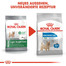 ROYAL CANIN LIGHT WEIGHT CARE MINI Trockenfutter für kleine Hunde mit Neigung zu Übergewicht 8 kg