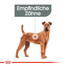 ROYAL CANIN DENTAL CARE MEDIUM Trockenfutter für mittelgroße Hunde mit empfindlichen Zähnen 10 kg