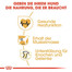 ROYAL CANIN Rottweiler Adult Hundefutter trocken 12 kg