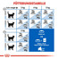 ROYAL CANIN INDOOR 27 Trockenfutter für Wohnungskatzen 10 kg