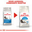 ROYAL CANIN INDOOR Longhair Trockenfutter für Wohnungskatzen mit langem Fell 400 g