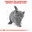 ROYAL CANIN British Shorthair Kittenfutter trocken für BKH Kätzchen 400 g