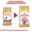 ROYAL CANIN British Shorthair Kittenfutter trocken für BKH Kätzchen 400 g
