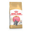 ROYAL CANIN British Shorthair Kittenfutter trocken für BKH Kätzchen 400 g