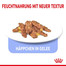 ROYAL CANIN INDOOR Sterilised in Gelee Nassfutter für Wohnungskatzen 12 x 85 g