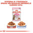 ROYAL CANIN KITTEN Sterilised Kittenfutter für kastrierte Kätzchen 12 x 85 g