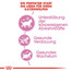 ROYAL CANIN KITTEN Trockenfutter für Kätzchen 400 g