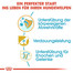 ROYAL CANIN German Shepherd Puppy Welpenfutter trocken für Deutsche Schäferhunde 12 kg