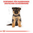 ROYAL CANIN German Shepherd Puppy Welpenfutter trocken für Deutsche Schäferhunde 12 kg