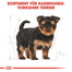ROYAL CANIN Yorkshire Terrier Puppy Welpenfutter trocken 500 g