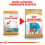 ROYAL CANIN Boxer Puppy Welpenfutter trocken 12 kg