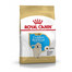 ROYAL CANIN Golden Retriever Puppy Welpenfutter trocken 3 kg