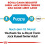 ROYAL CANIN Jack Russell Terrier Puppy Welpenfutter trocken 1,5 kg