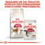 ROYAL CANIN FIT Trockenfutter für aktive Katzen 10 kg