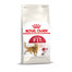 ROYAL CANIN FIT Trockenfutter für aktive Katzen 10 kg
