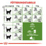 ROYAL CANIN OUTDOOR Katzenfutter trocken für Freigänger 2 kg