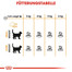ROYAL CANIN Hair & Skin Care Katzenfutter trocken für gesundes Fell 2 kg