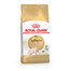 ROYAL CANIN Sphynx Adult Katzenfutter trocken 2 kg