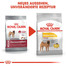 ROYAL CANIN MEDIUM Dermacomfort Trockenfutter für mittelgroße Hunde mit empfindlicher Haut 3 kg