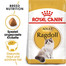 ROYAL CANIN Ragdoll Adult Katzenfutter trocken 400 g