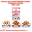 ROYAL CANIN KITTEN Nassfutter in Soße für Kätzchen 12x85g