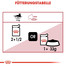 ROYAL CANIN INSTINCTIVE Katzenfutter nass in Gelee 12x85g