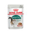 ROYAL CANIN INSTINCTIVE 7+ Nassfutter in Soße für ältere Katzen 12 x 85 g