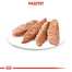 ROYAL CANIN Exigent Alleinfuttermittel für Hunde 85 g x 12