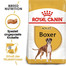 ROYAL CANIN Boxer Adult Hundefutter trocken 24 kg (2 x 12 kg)