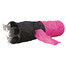 TRIXIE Spieltunnel Polyester ø 30 cm x 115 cm